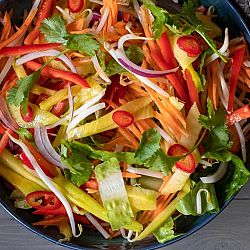 spicy-thai-mango-salad-15-1678749273.jpg
